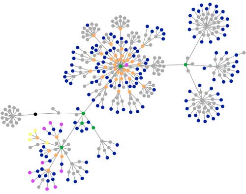 Dominios adicionales a tu web según Google