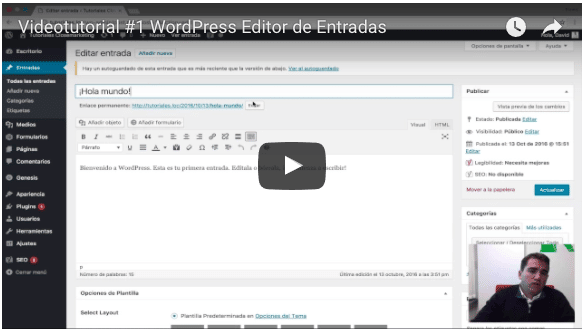 Videotutorial #1 Edición WordPress básica