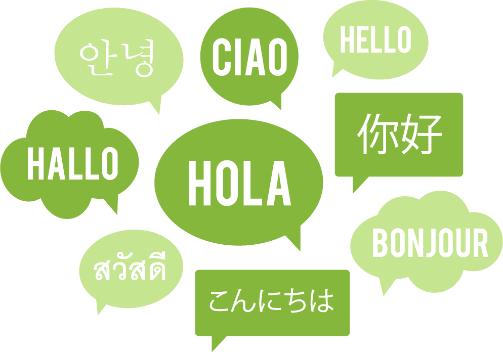 imagen página multilingue en desarrollo web wordpress
