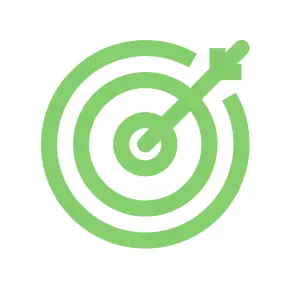 Gestión Publicidad Instagram Ads Presupuesto