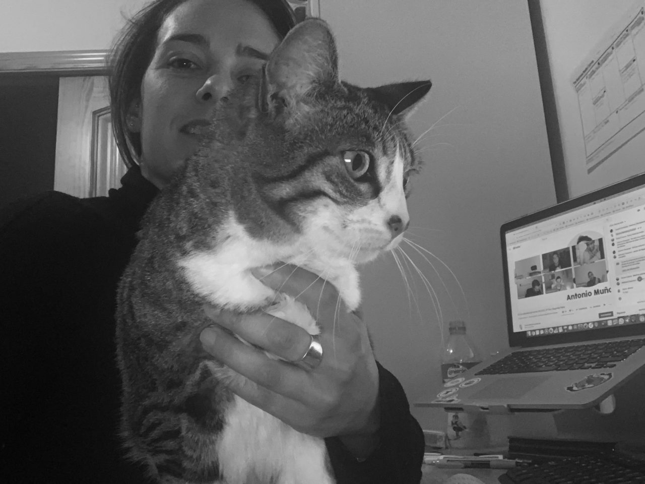 Gata Feliz Porque Trabajo En Casa