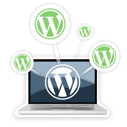 Desarrollo Sitios WordPress Multisite Multisite Pc