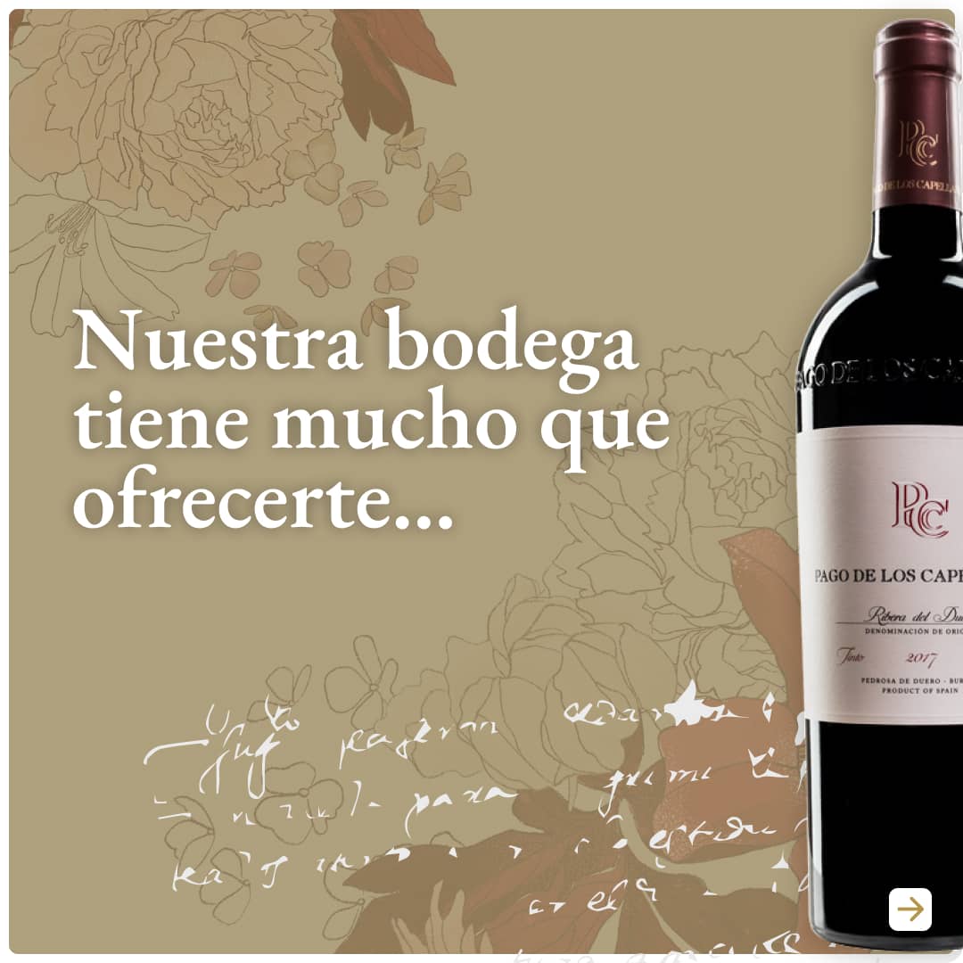 RRSS Punto Más Punto Más Pub6