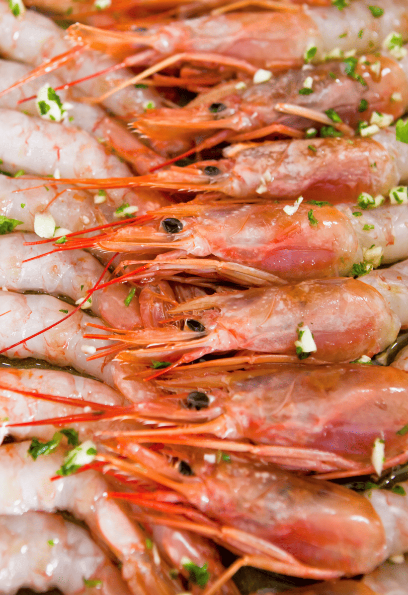 Multimedia Fotografia De Catalogo