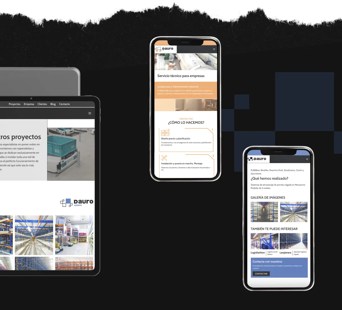 Diseño Web Dauro 4