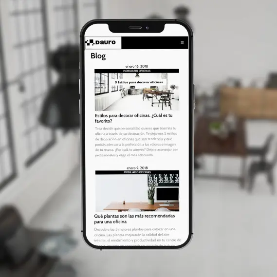 Diseño Web Dauro 7