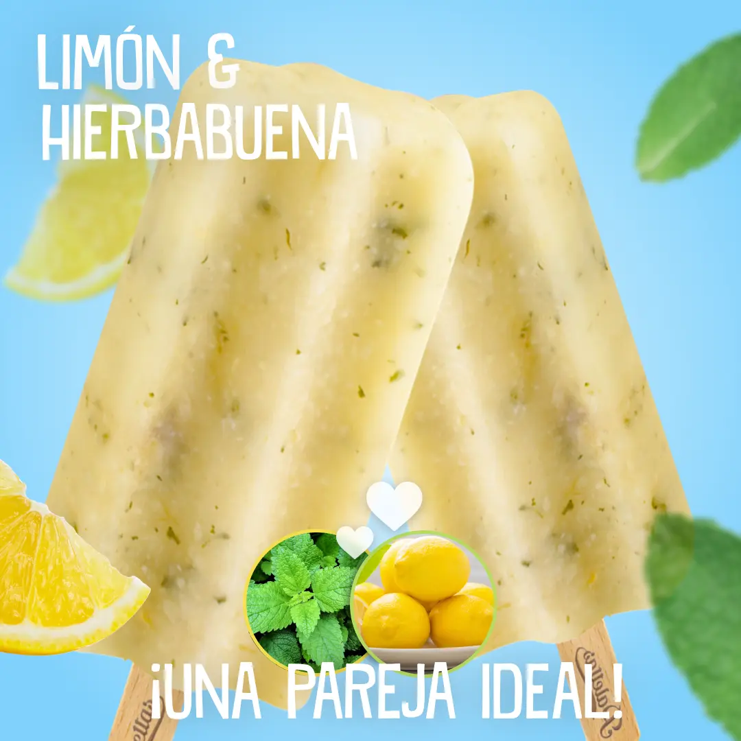 Limon Y Hierbabuena Gestión De Redes Sociales Nordwik