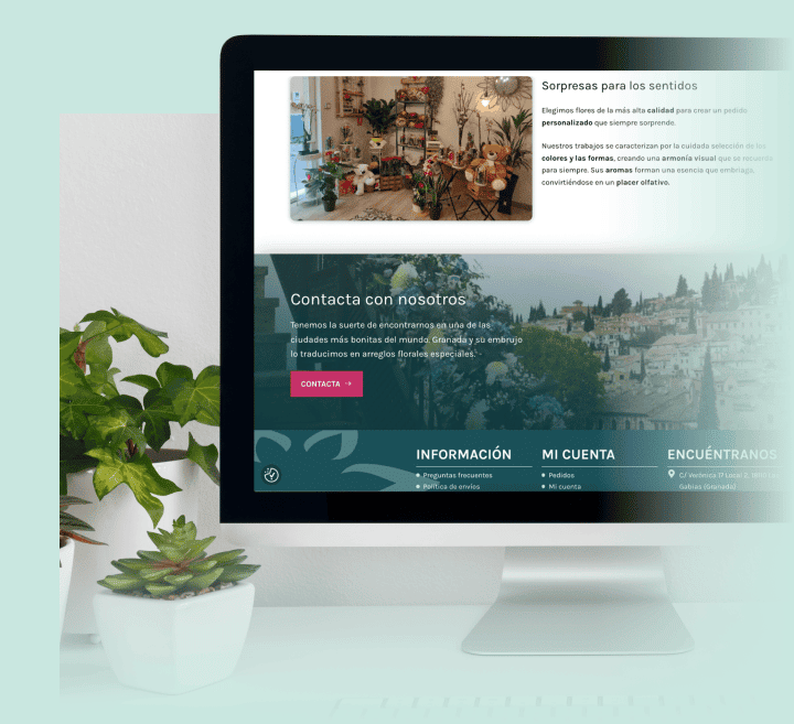 Flor De Las Nieves Diseño Web Close Marketing 8