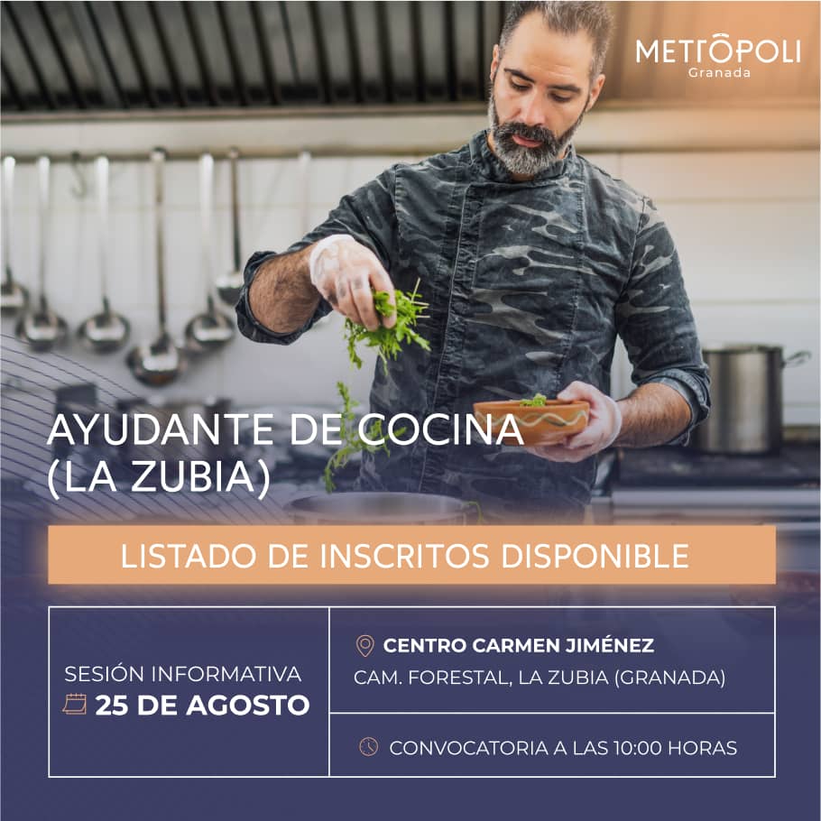 Diseño Web Y Redes Para Emplea Metrópoli Granada Post2