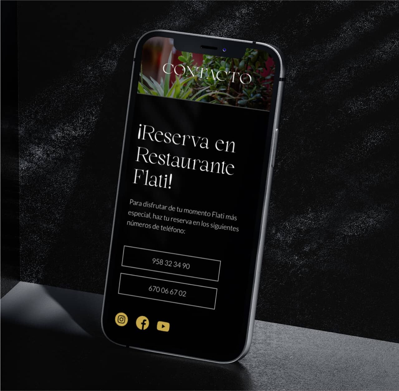 Diseño Web Y Redes Para Flati Contacto