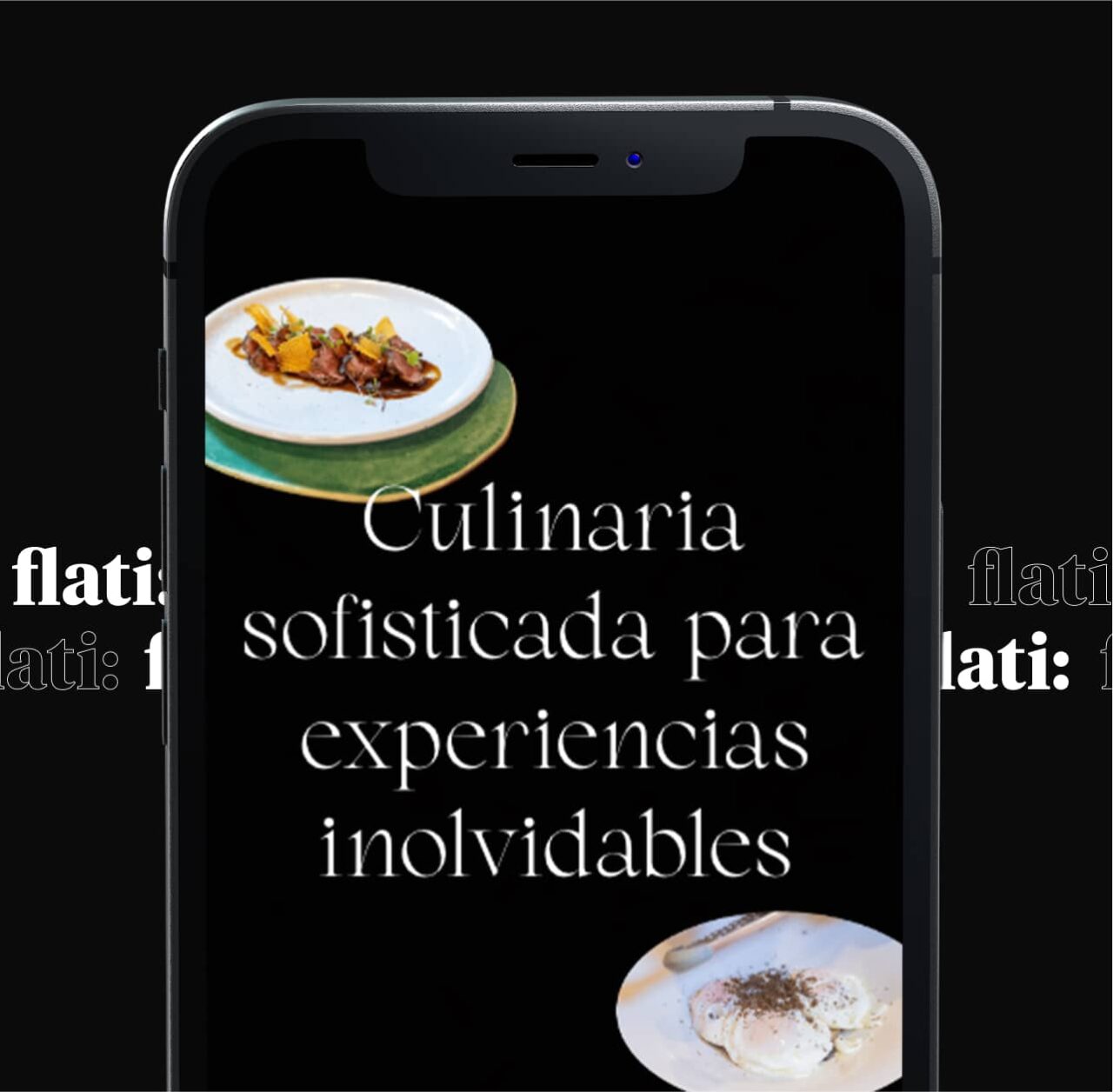 Diseño Web Y Redes Para Flati Movil