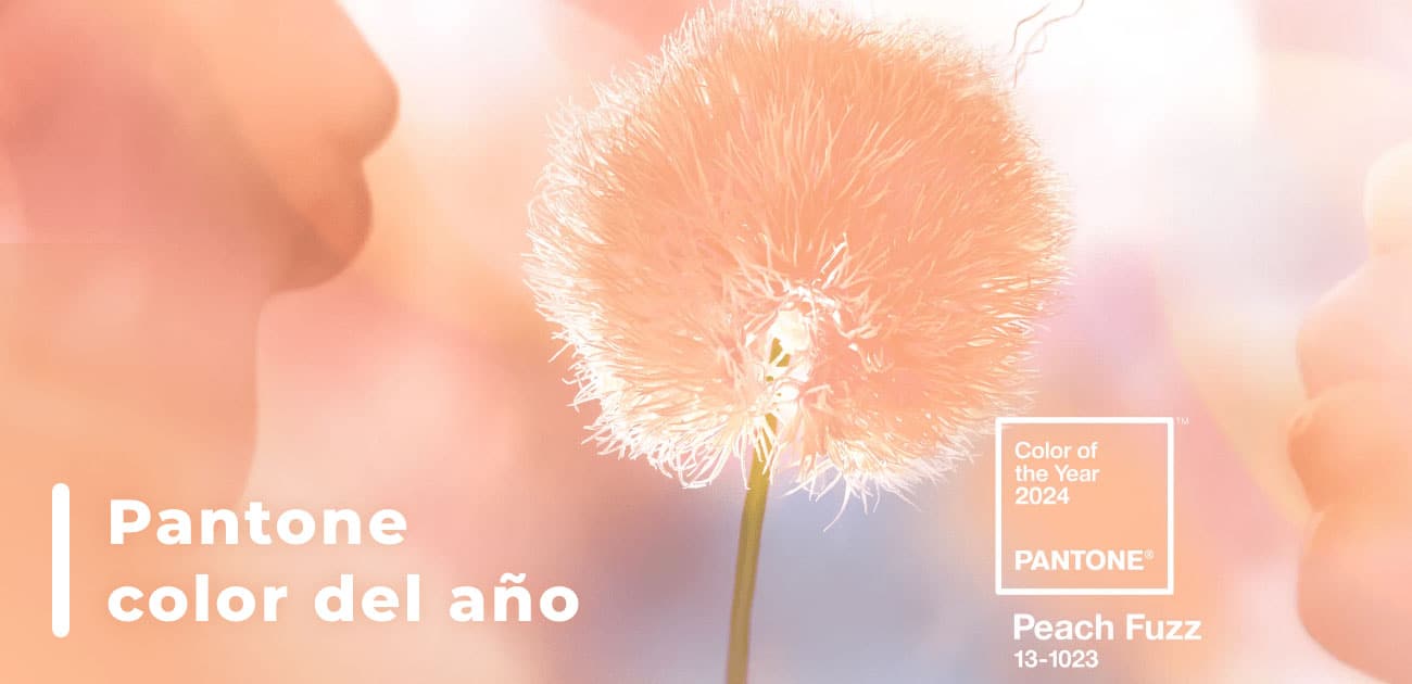 Nota Pantone Color Del Año 2024 Min Min