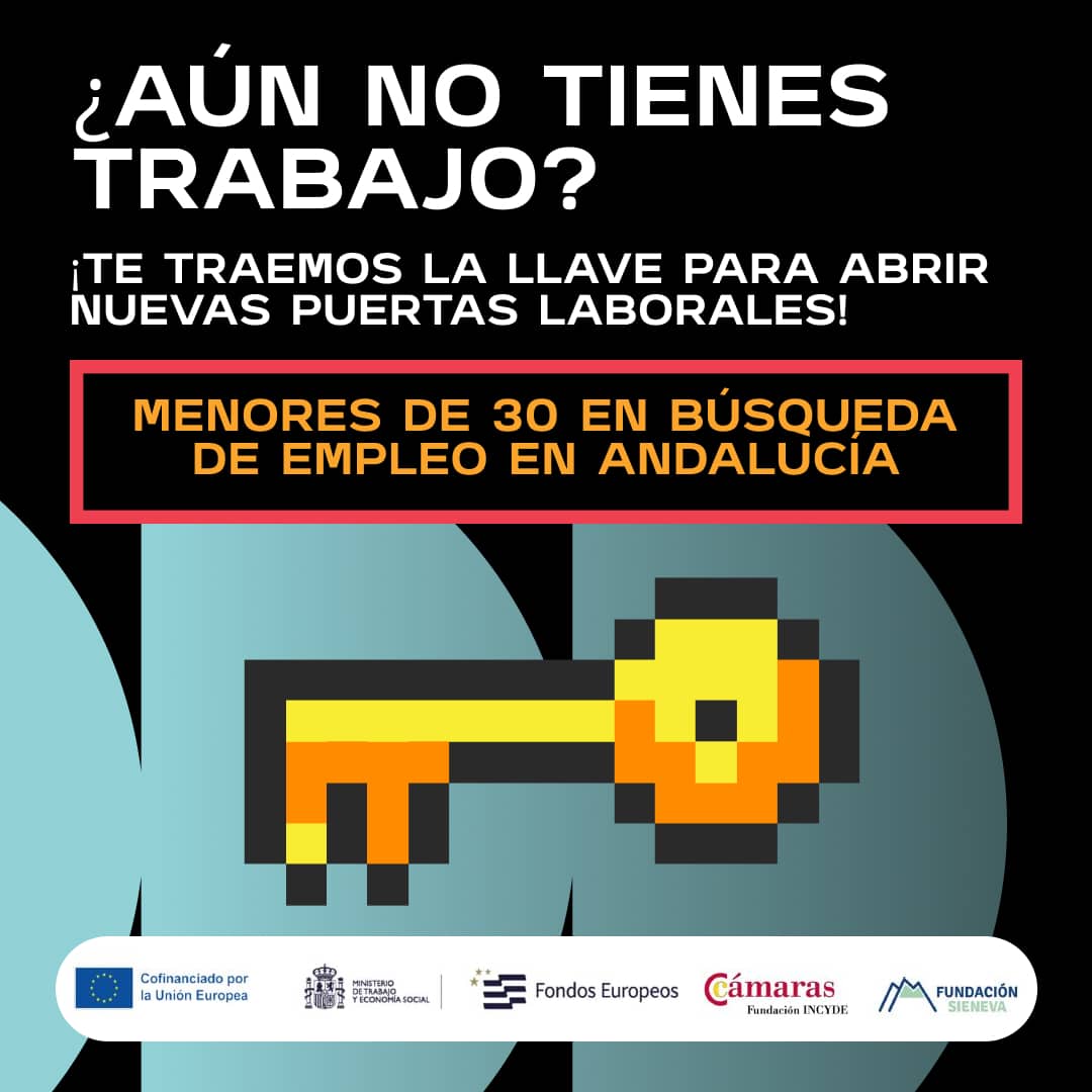 Plan de marketing digital para Transforma Tu Futuro Transforma Tu Futuro Social Media 2